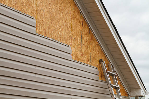 Professional Siding Repair technician working in Wallops Island, VA
